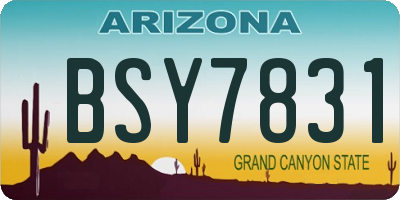 AZ license plate BSY7831