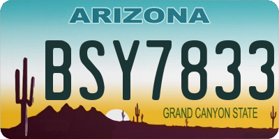 AZ license plate BSY7833