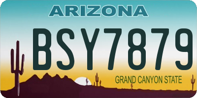 AZ license plate BSY7879