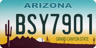 AZ license plate BSY7901
