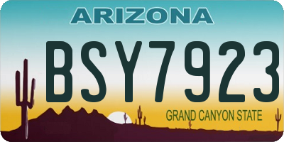 AZ license plate BSY7923