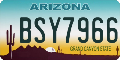 AZ license plate BSY7966