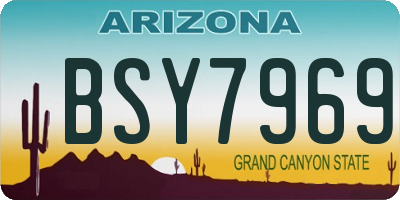 AZ license plate BSY7969