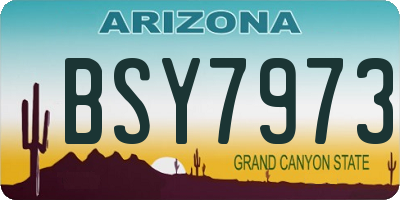 AZ license plate BSY7973