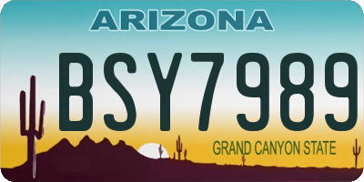 AZ license plate BSY7989