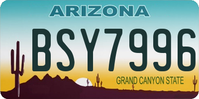 AZ license plate BSY7996