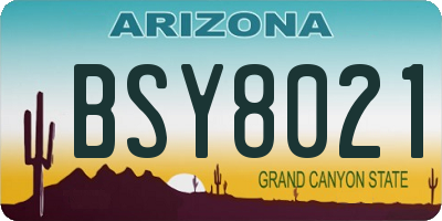 AZ license plate BSY8021