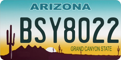 AZ license plate BSY8022