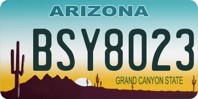AZ license plate BSY8023