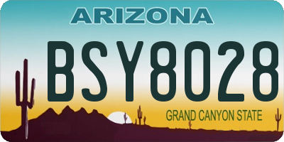 AZ license plate BSY8028