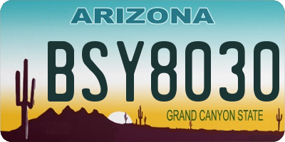 AZ license plate BSY8030