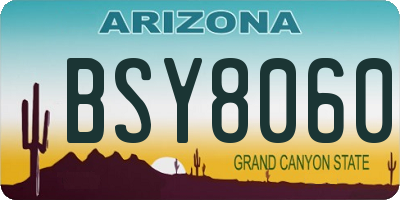 AZ license plate BSY8060