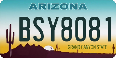 AZ license plate BSY8081