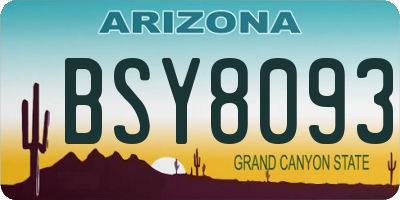 AZ license plate BSY8093