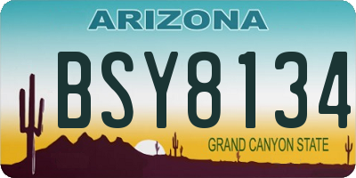 AZ license plate BSY8134