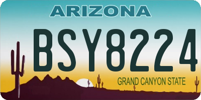 AZ license plate BSY8224