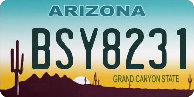 AZ license plate BSY8231