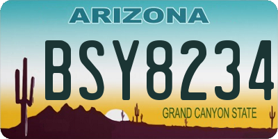 AZ license plate BSY8234