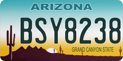 AZ license plate BSY8238