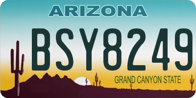 AZ license plate BSY8249