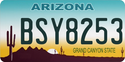 AZ license plate BSY8253