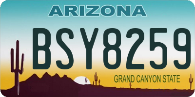 AZ license plate BSY8259