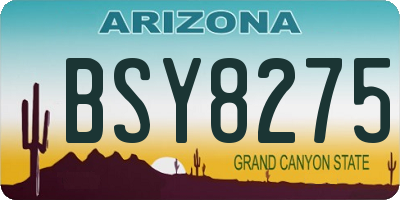 AZ license plate BSY8275