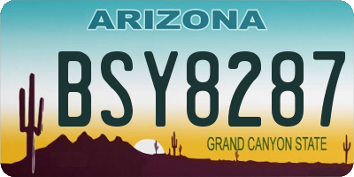 AZ license plate BSY8287