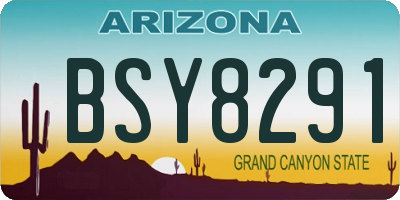 AZ license plate BSY8291