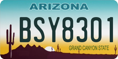 AZ license plate BSY8301
