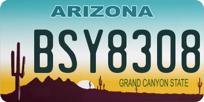 AZ license plate BSY8308