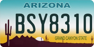 AZ license plate BSY8310