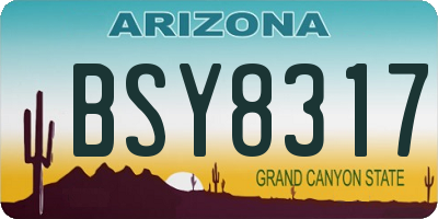 AZ license plate BSY8317