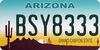 AZ license plate BSY8333