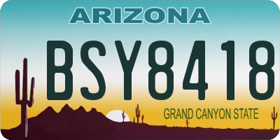 AZ license plate BSY8418