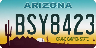AZ license plate BSY8423