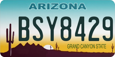 AZ license plate BSY8429