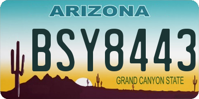 AZ license plate BSY8443