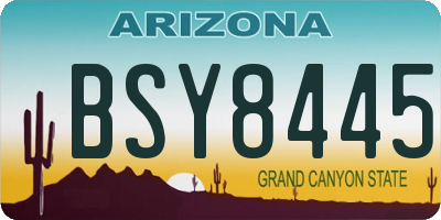 AZ license plate BSY8445