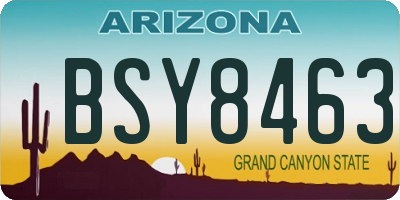 AZ license plate BSY8463