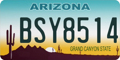 AZ license plate BSY8514