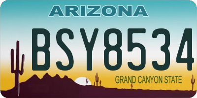 AZ license plate BSY8534