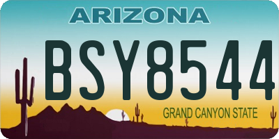 AZ license plate BSY8544