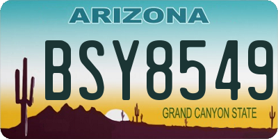 AZ license plate BSY8549