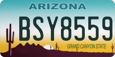 AZ license plate BSY8559