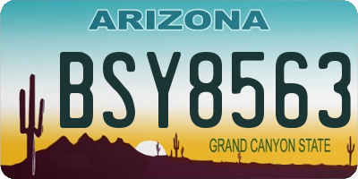 AZ license plate BSY8563