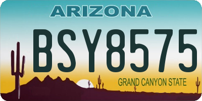 AZ license plate BSY8575