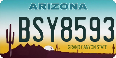 AZ license plate BSY8593
