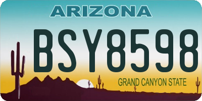 AZ license plate BSY8598