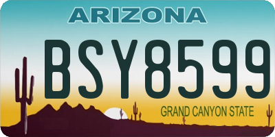 AZ license plate BSY8599